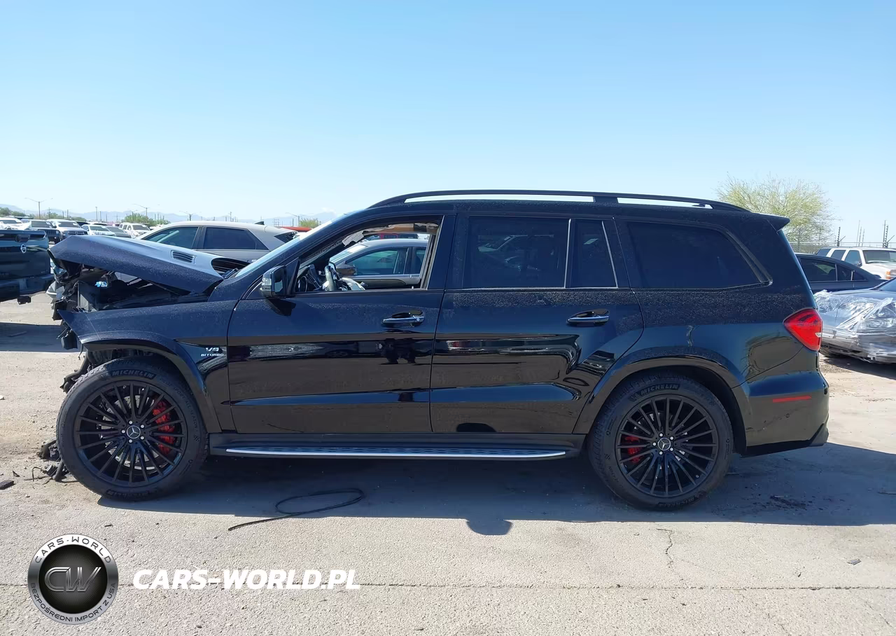 2019 Mercedes-Benz Amg Gls 63 4Matic VIN:4JGDF7FE7KB189664 - 13