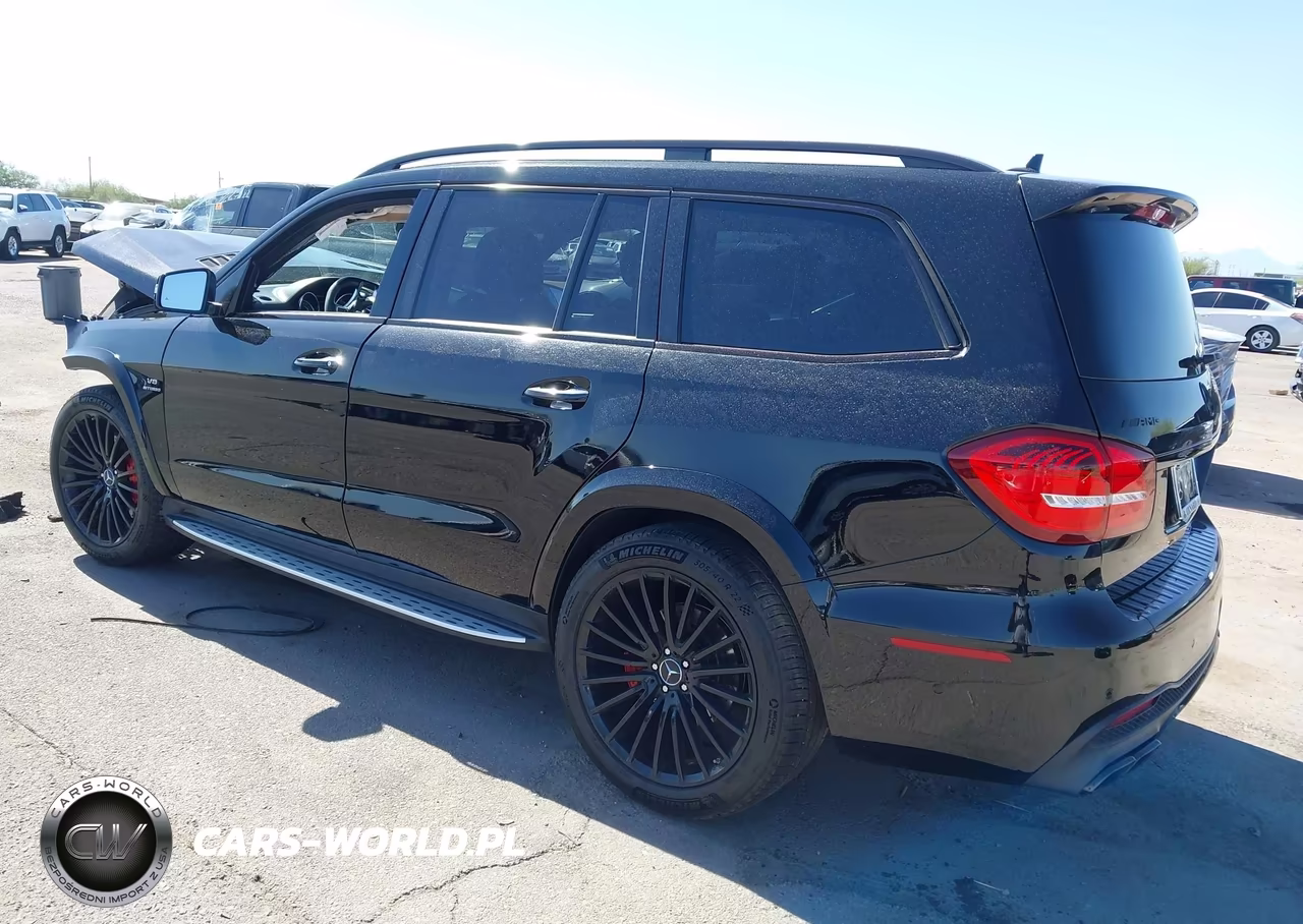 2019 Mercedes-Benz Amg Gls 63 4Matic VIN:4JGDF7FE7KB189664 - 3