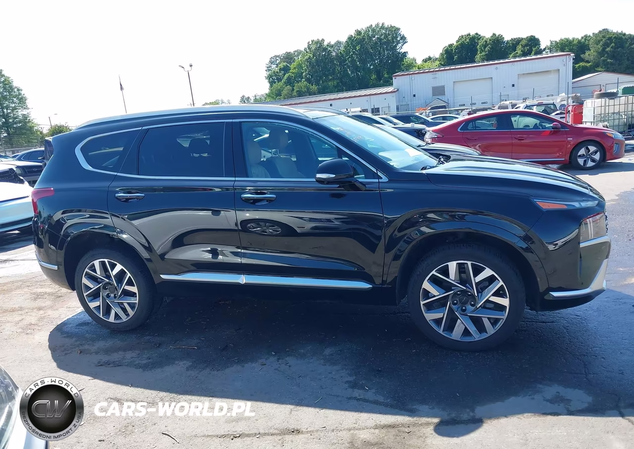 2021 Hyundai Santa Fe Calligraphy VIN:5NMS5DAL2MH354926 - 13
