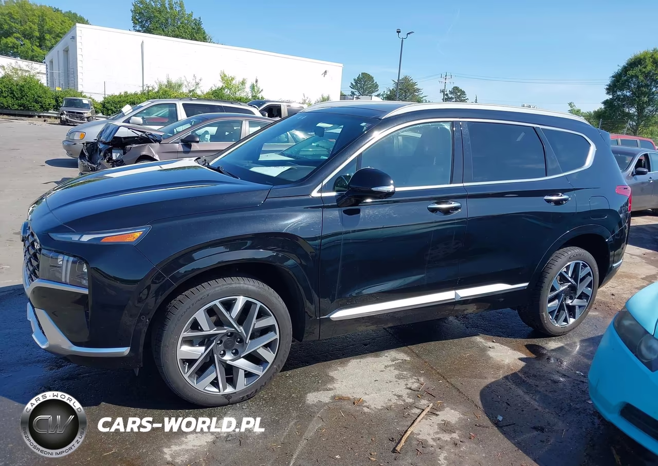 2021 Hyundai Santa Fe Calligraphy VIN:5NMS5DAL2MH354926 - 14