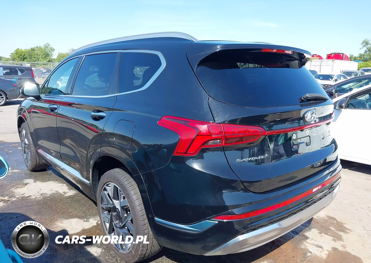 2021 Hyundai Santa Fe Calligraphy VIN:5NMS5DAL2MH354926 - 3