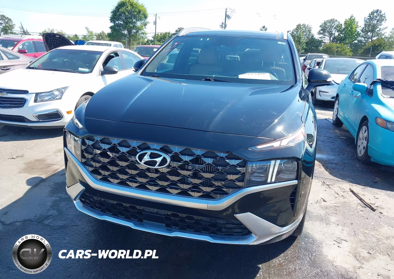 2021 Hyundai Santa Fe Calligraphy VIN:5NMS5DAL2MH354926 - 6