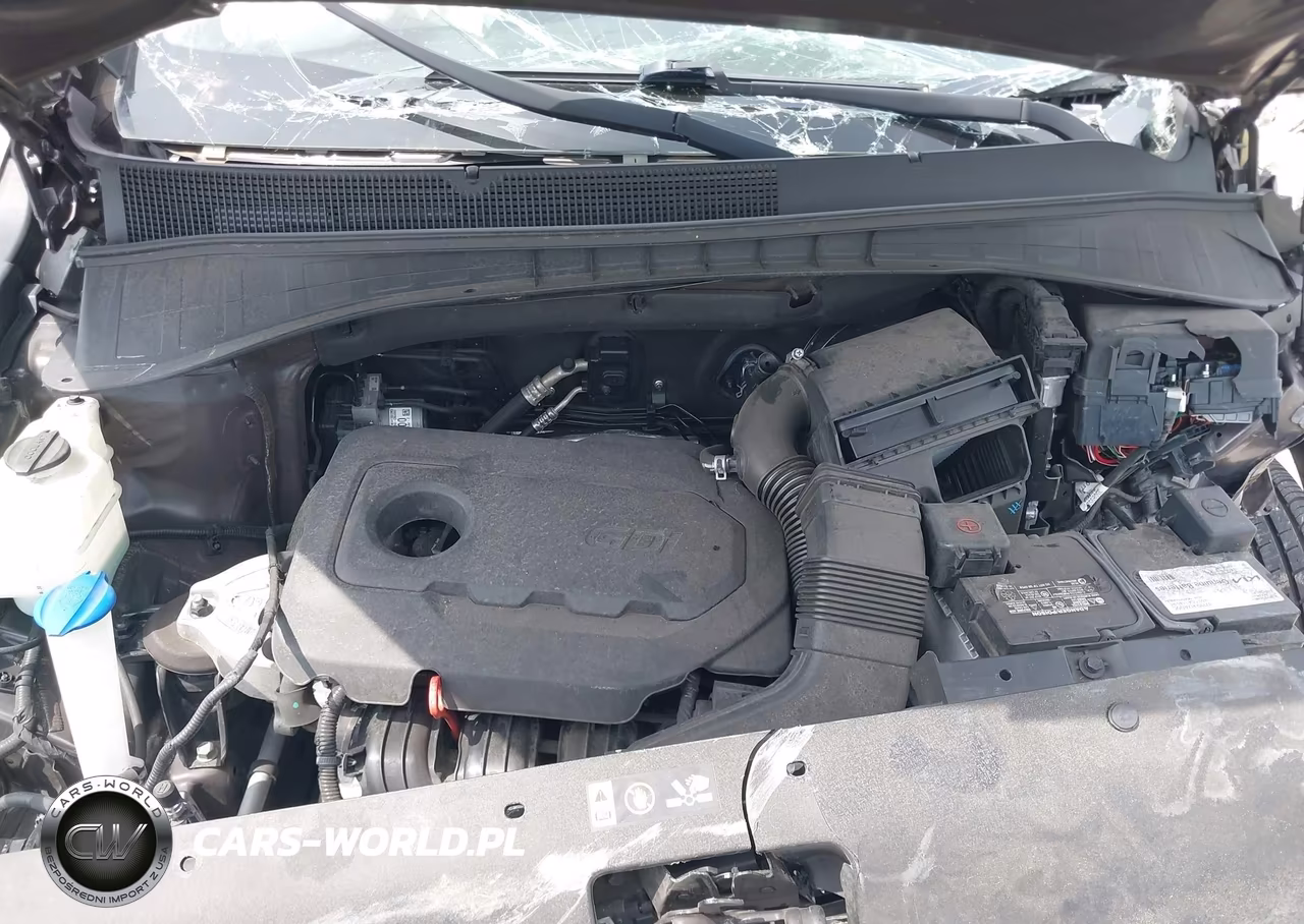 2019 Kia Sorento 2.4L Lx VIN:5XYPG4A32KG560125 - 10