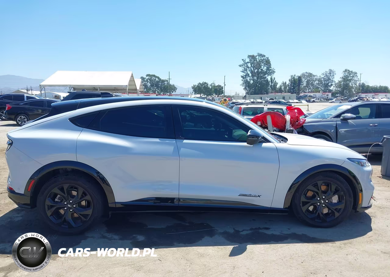 2023 Ford Mustang Mach-E Premium VIN:3FMTK3SU9PMA85013 - 13