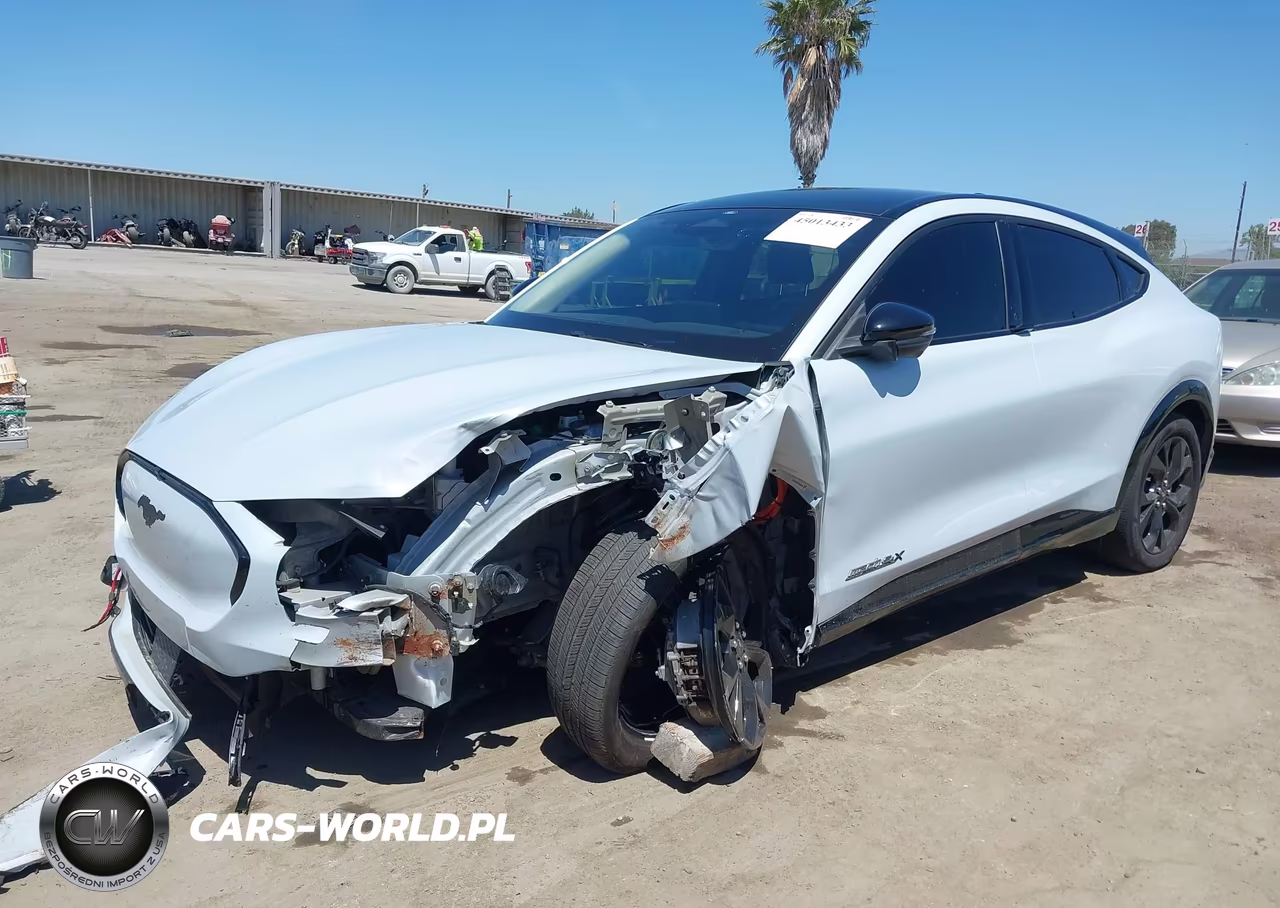 2023 Ford Mustang Mach-E Premium VIN:3FMTK3SU9PMA85013 - 2