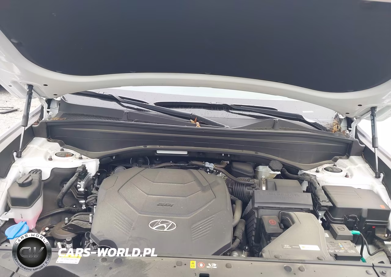 2025 Hyundai Palisade Calligraphy VIN:KM8R7DGEXSU954158 - 10