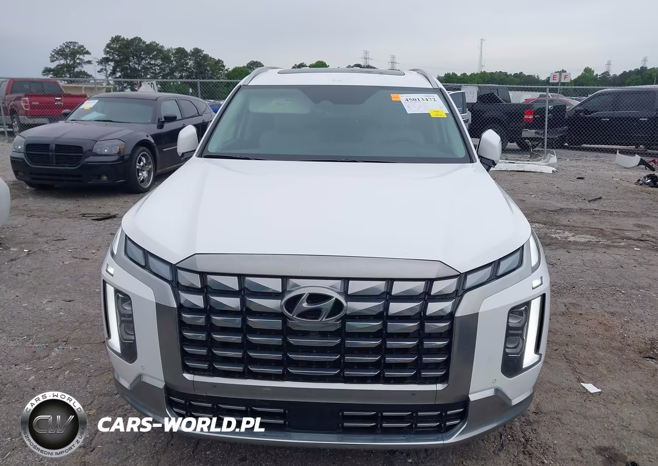 2025 Hyundai Palisade Calligraphy VIN:KM8R7DGEXSU954158 - 13