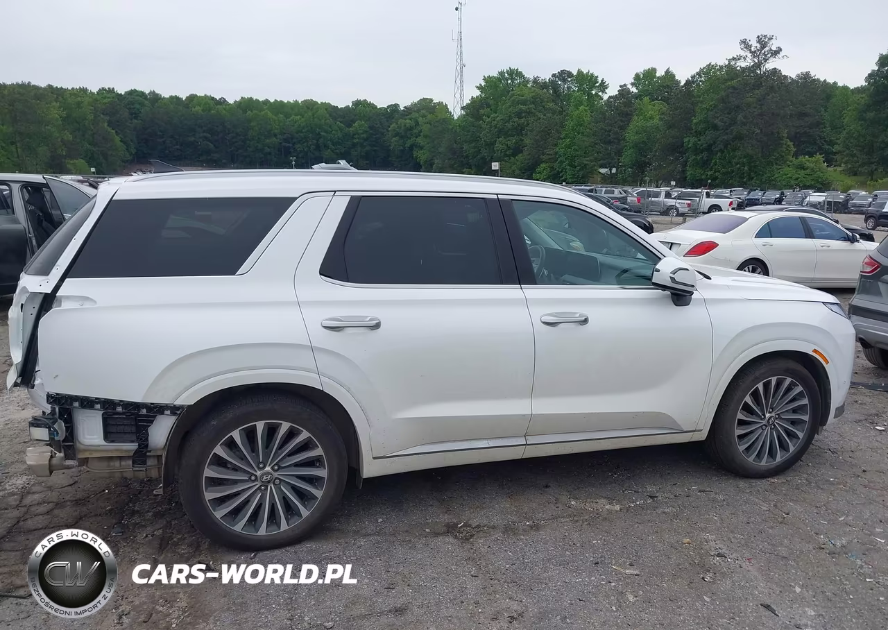 2025 Hyundai Palisade Calligraphy VIN:KM8R7DGEXSU954158 - 14