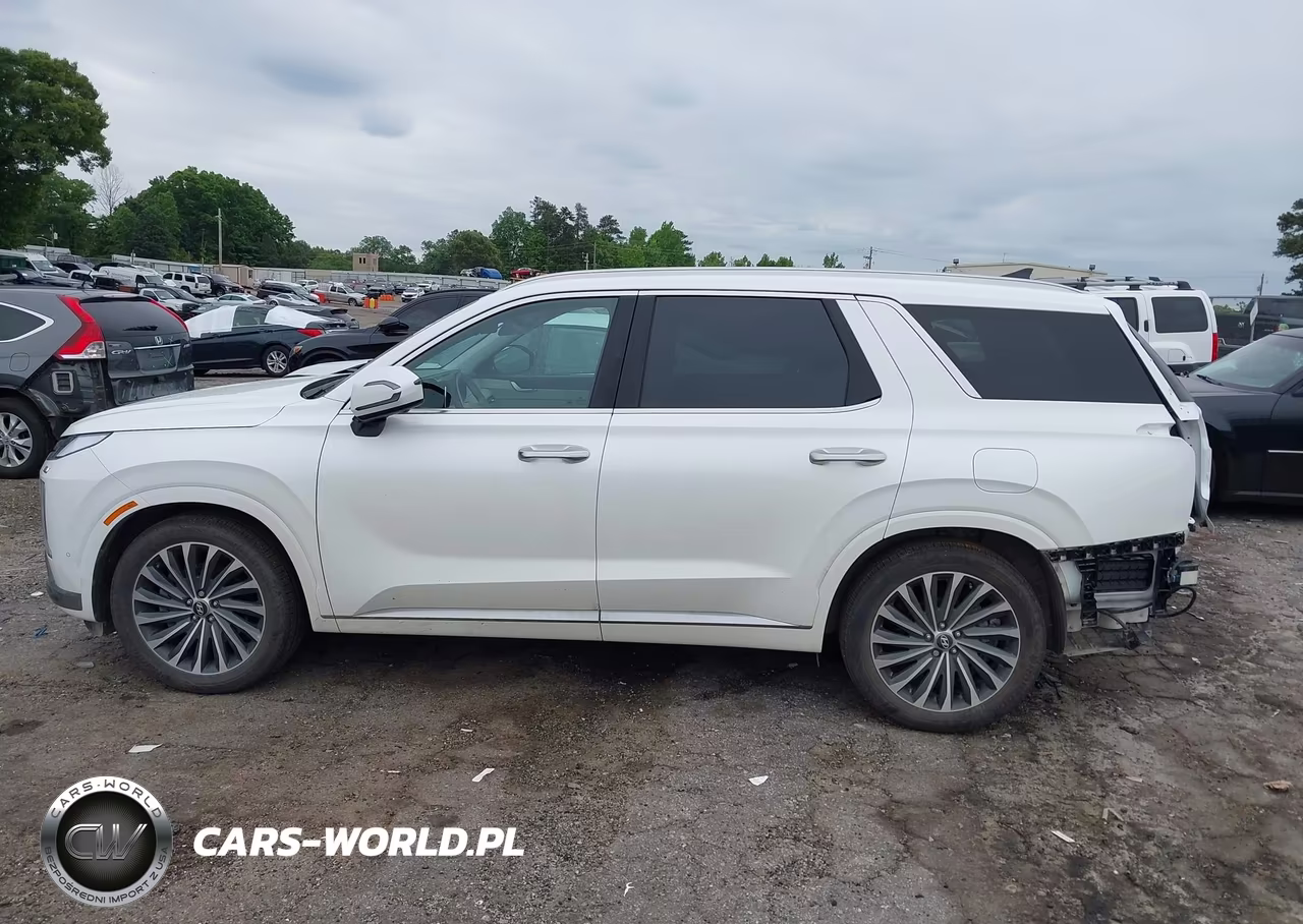 2025 Hyundai Palisade Calligraphy VIN:KM8R7DGEXSU954158 - 15