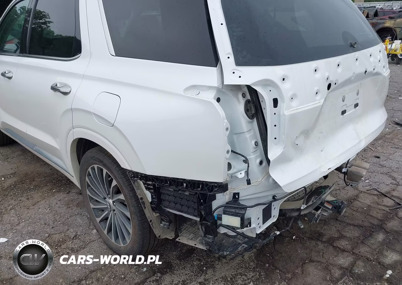 2025 Hyundai Palisade Calligraphy VIN:KM8R7DGEXSU954158 - 19