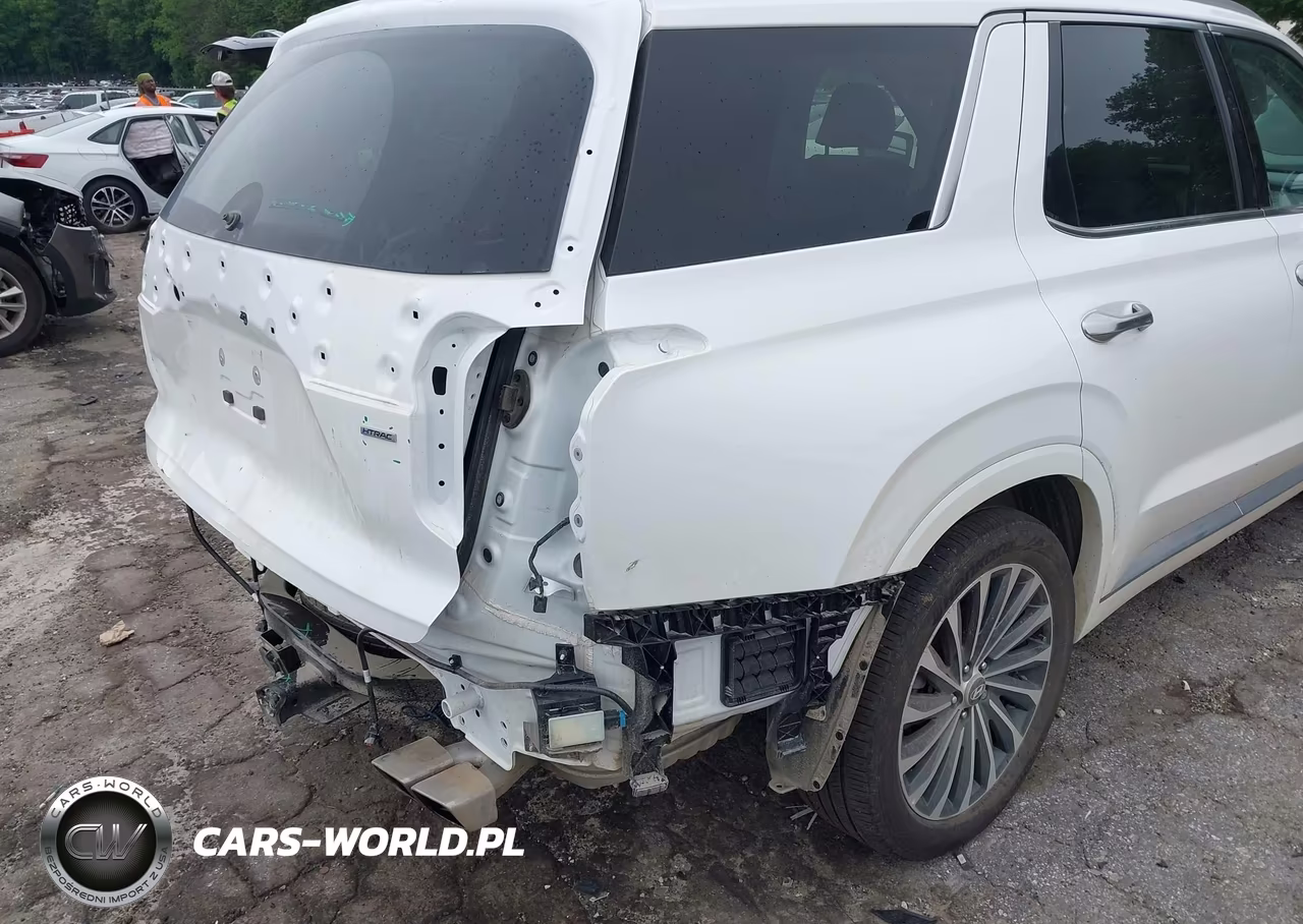 2025 Hyundai Palisade Calligraphy VIN:KM8R7DGEXSU954158 - 20