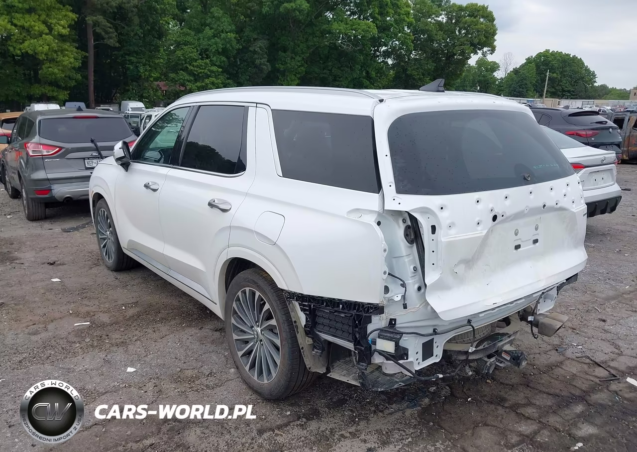 2025 Hyundai Palisade Calligraphy VIN:KM8R7DGEXSU954158 - 3