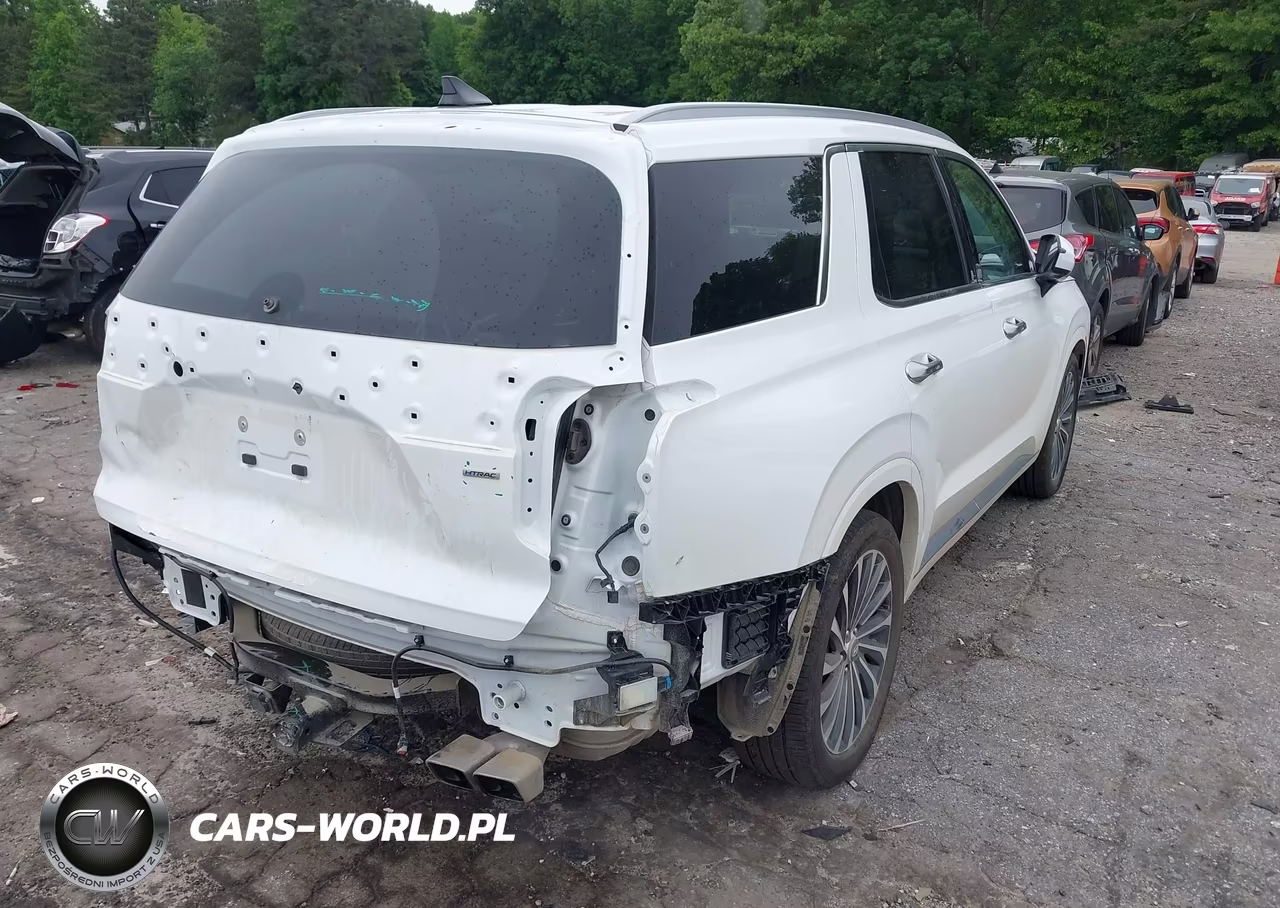 2025 Hyundai Palisade Calligraphy VIN:KM8R7DGEXSU954158 - 4