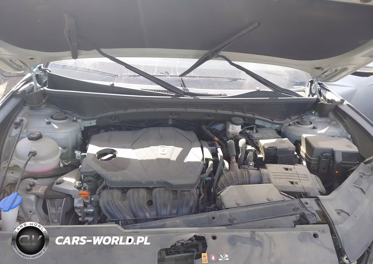 2024 Hyundai Tucson Limited VIN:5NMJECDE2RH343340 - 10