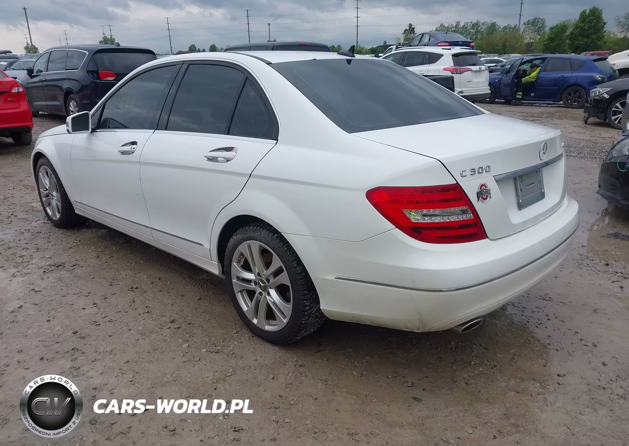 2013 Mercedes-Benz C 300 Luxury 4Matic VIN:WDDGF8AB5DR270652 - 3