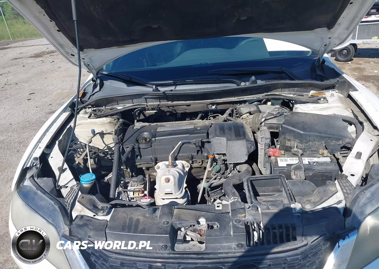 HONDA ACCORD VIN:1HGCT1B38DA024825 - 10