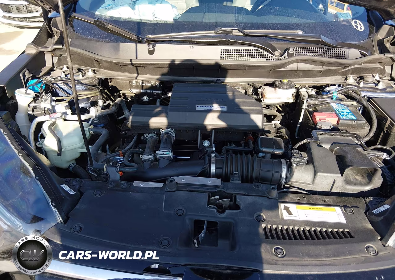 2020 Honda Cr-V Awd Lx VIN:5J6RW2H29LL001846 - 10