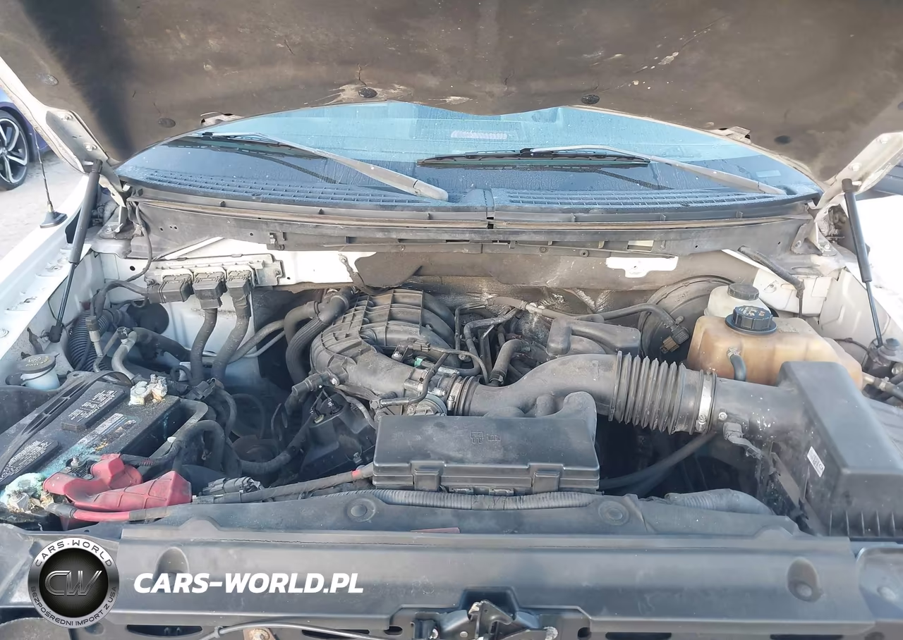 2012 Ford F-150 Xl VIN:1FTMF1CM6CKD02728 - 10