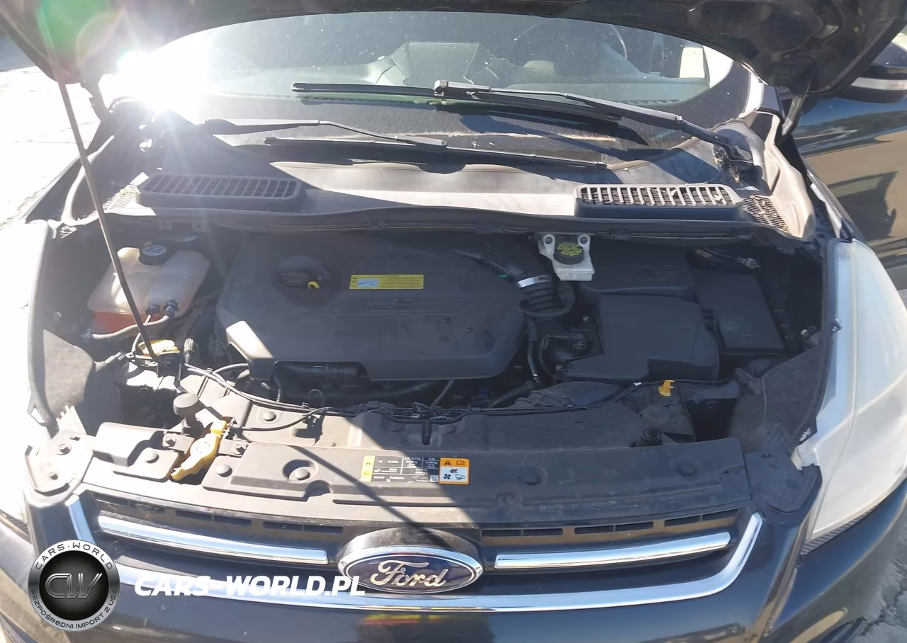 2013 Ford Escape Sel VIN:1FMCU0HX6DUB55942 - 10