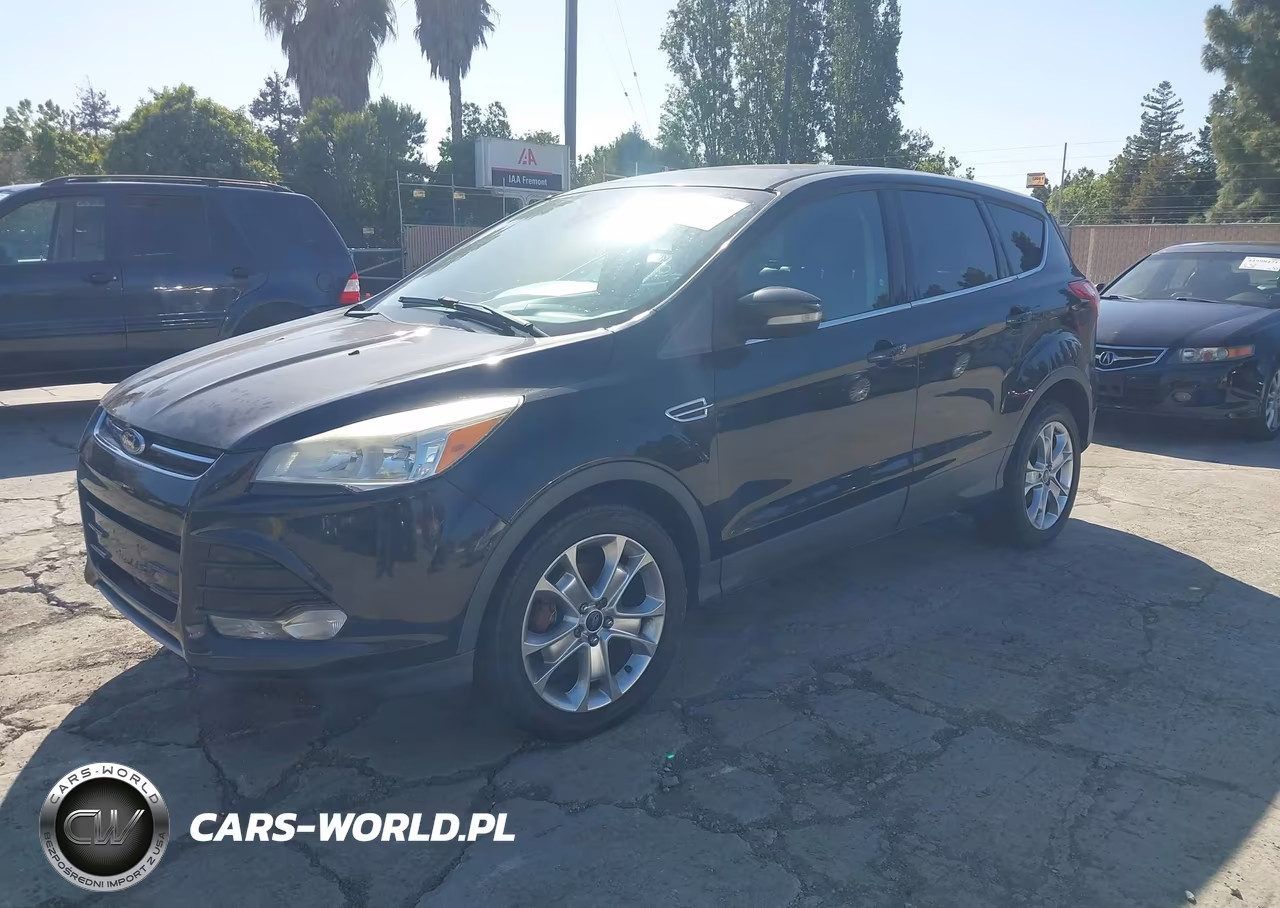 2013 Ford Escape Sel VIN:1FMCU0HX6DUB55942 - 2