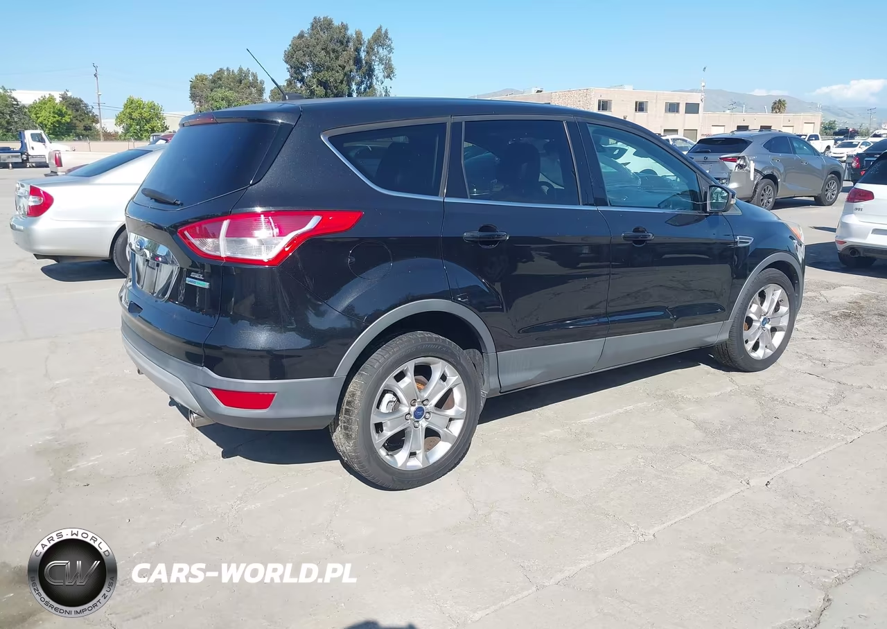 2013 Ford Escape Sel VIN:1FMCU0HX6DUB55942 - 4