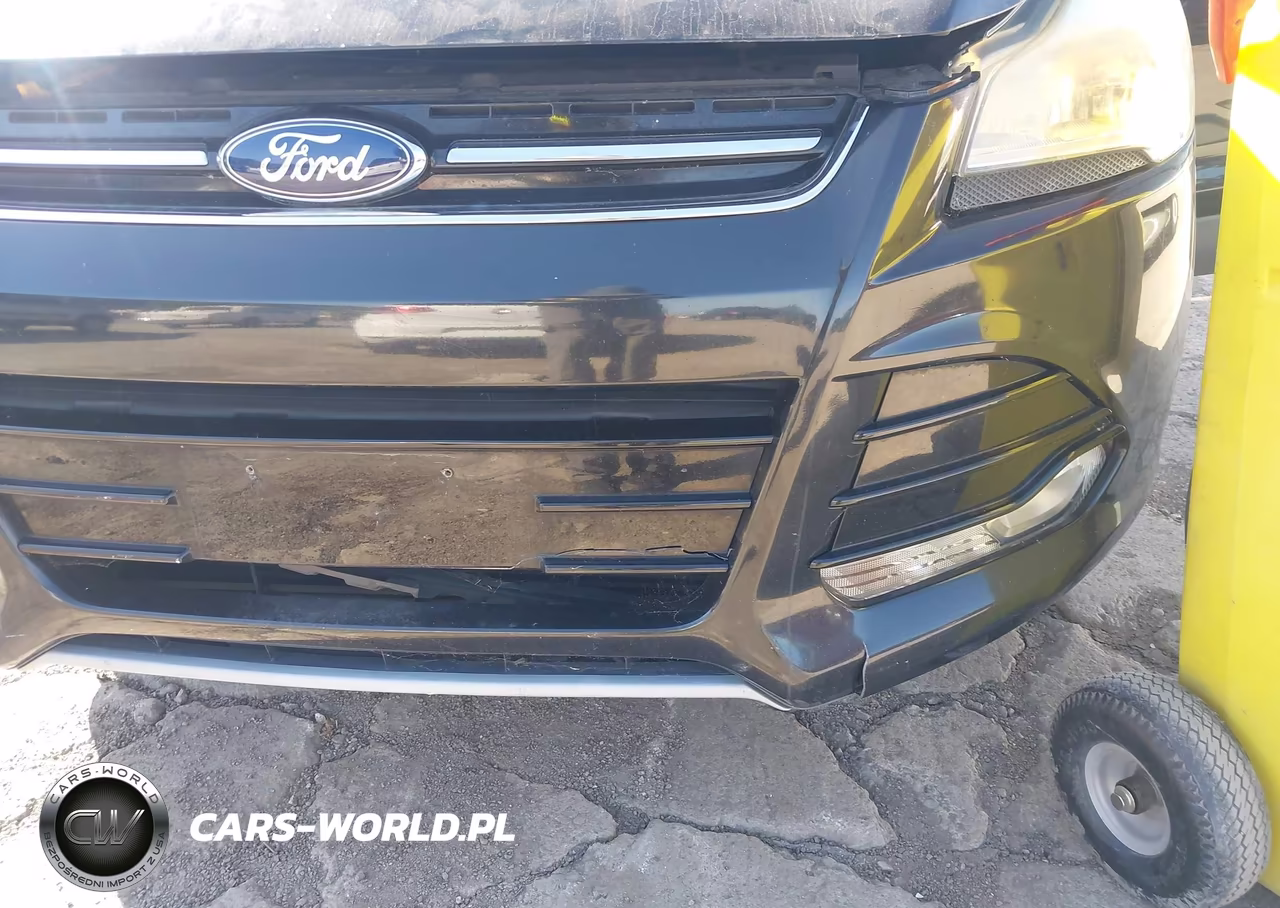 2013 Ford Escape Sel VIN:1FMCU0HX6DUB55942 - 6