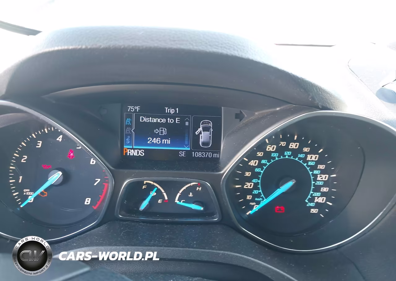 2013 Ford Escape Sel VIN:1FMCU0HX6DUB55942 - 7