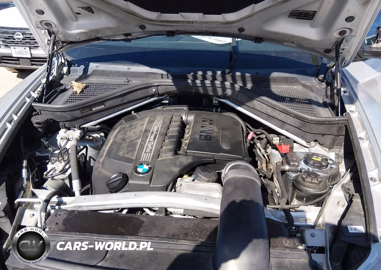 2013 BMW X6 xDrive35I VIN:5UXFG2C59DL783976 - 10