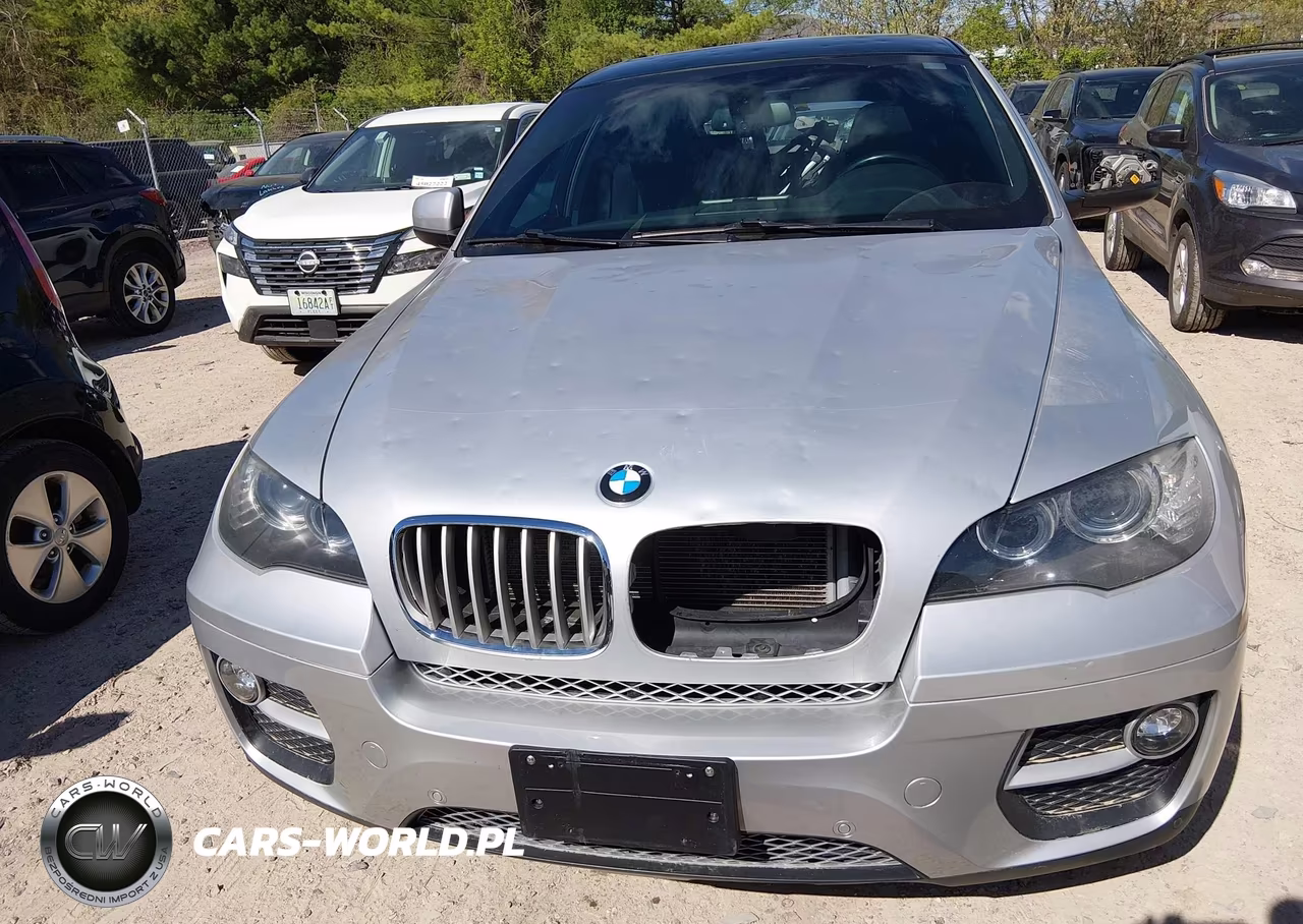 2013 BMW X6 xDrive35I VIN:5UXFG2C59DL783976 - 13