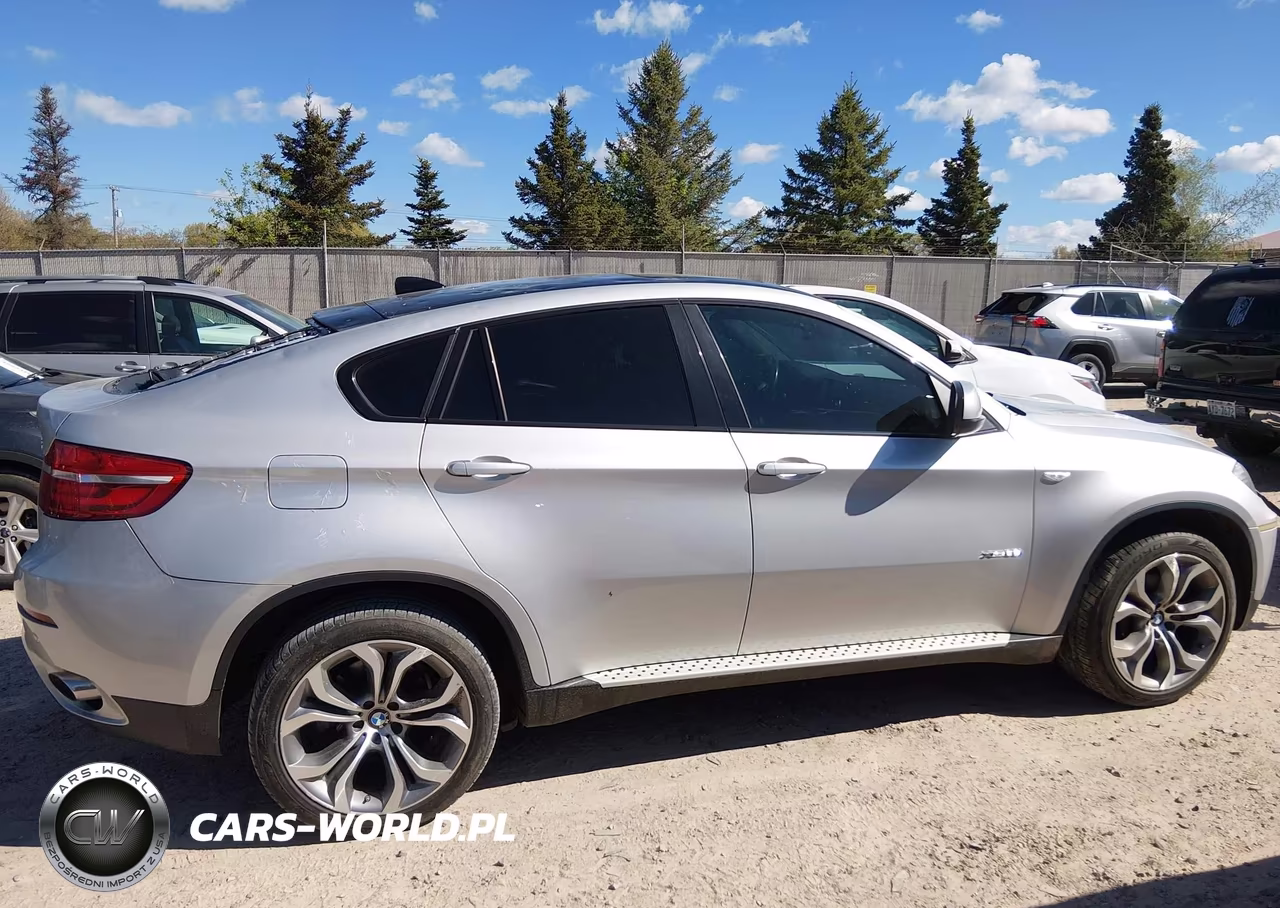 2013 BMW X6 xDrive35I VIN:5UXFG2C59DL783976 - 14