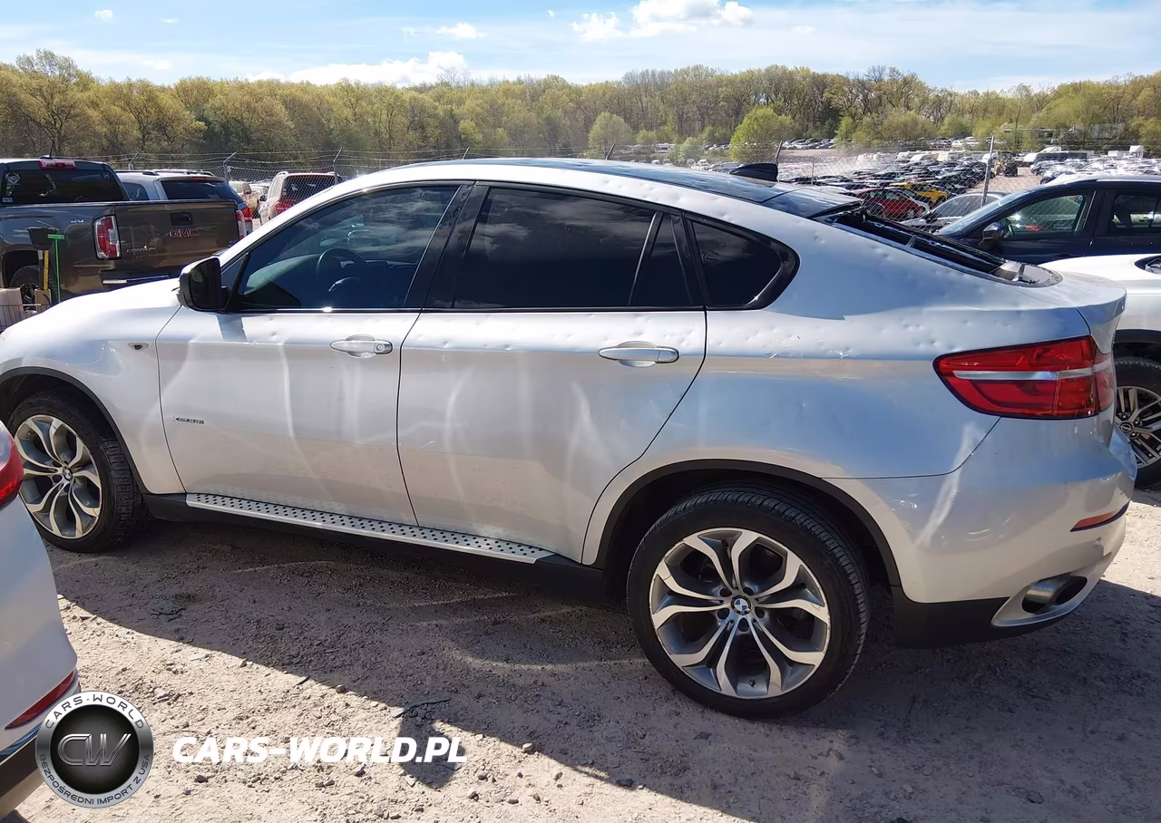 2013 BMW X6 xDrive35I VIN:5UXFG2C59DL783976 - 15