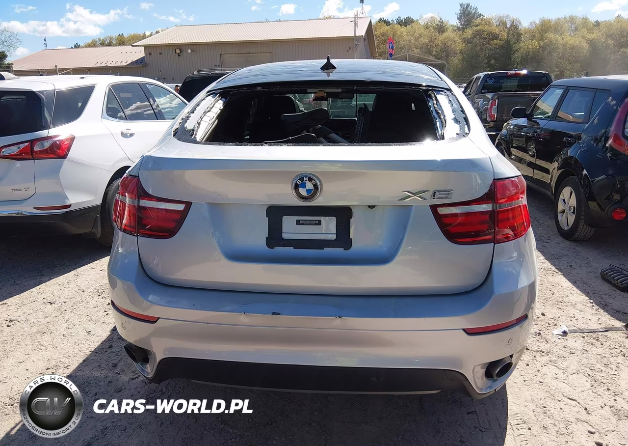 2013 BMW X6 xDrive35I VIN:5UXFG2C59DL783976 - 17