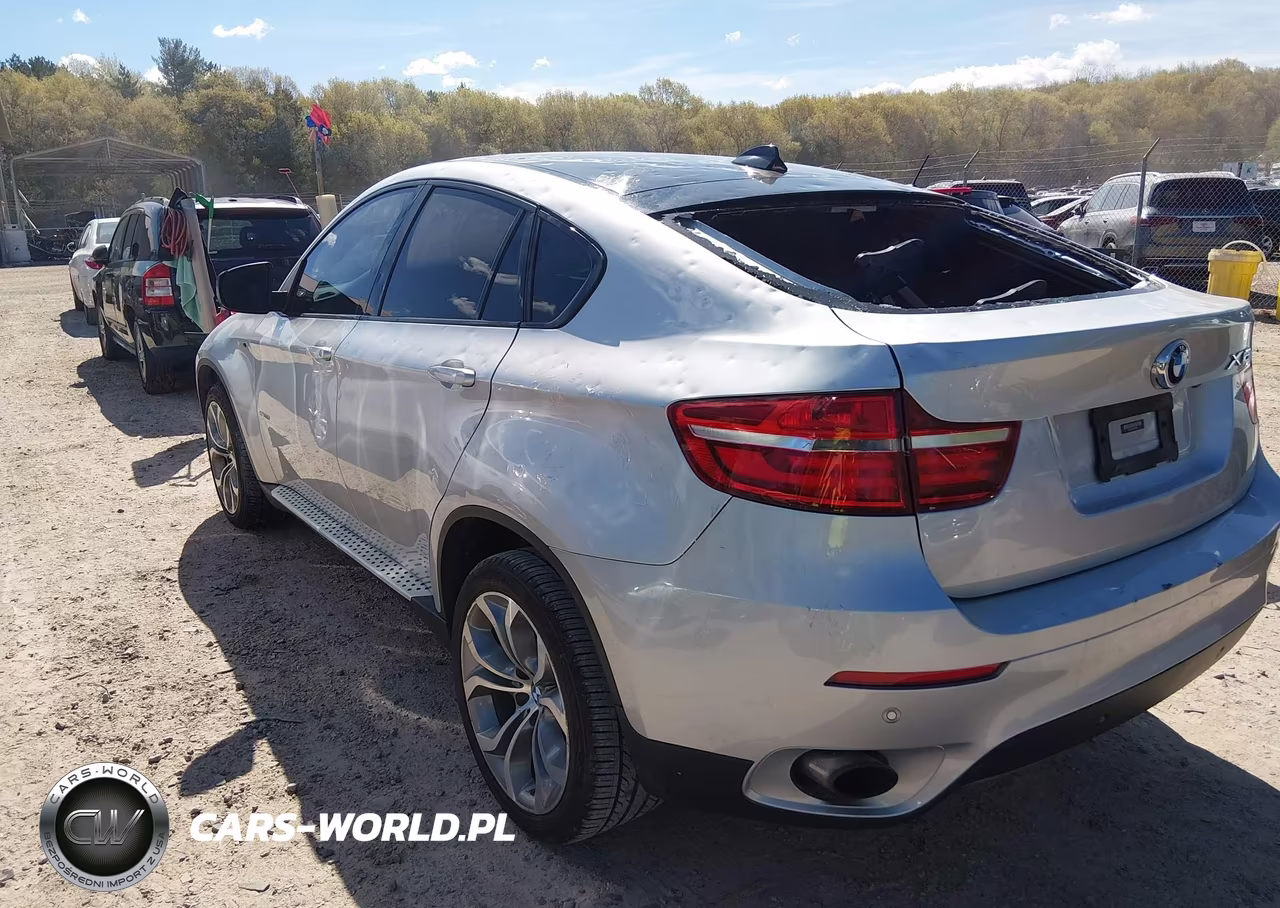 2013 BMW X6 xDrive35I VIN:5UXFG2C59DL783976 - 3