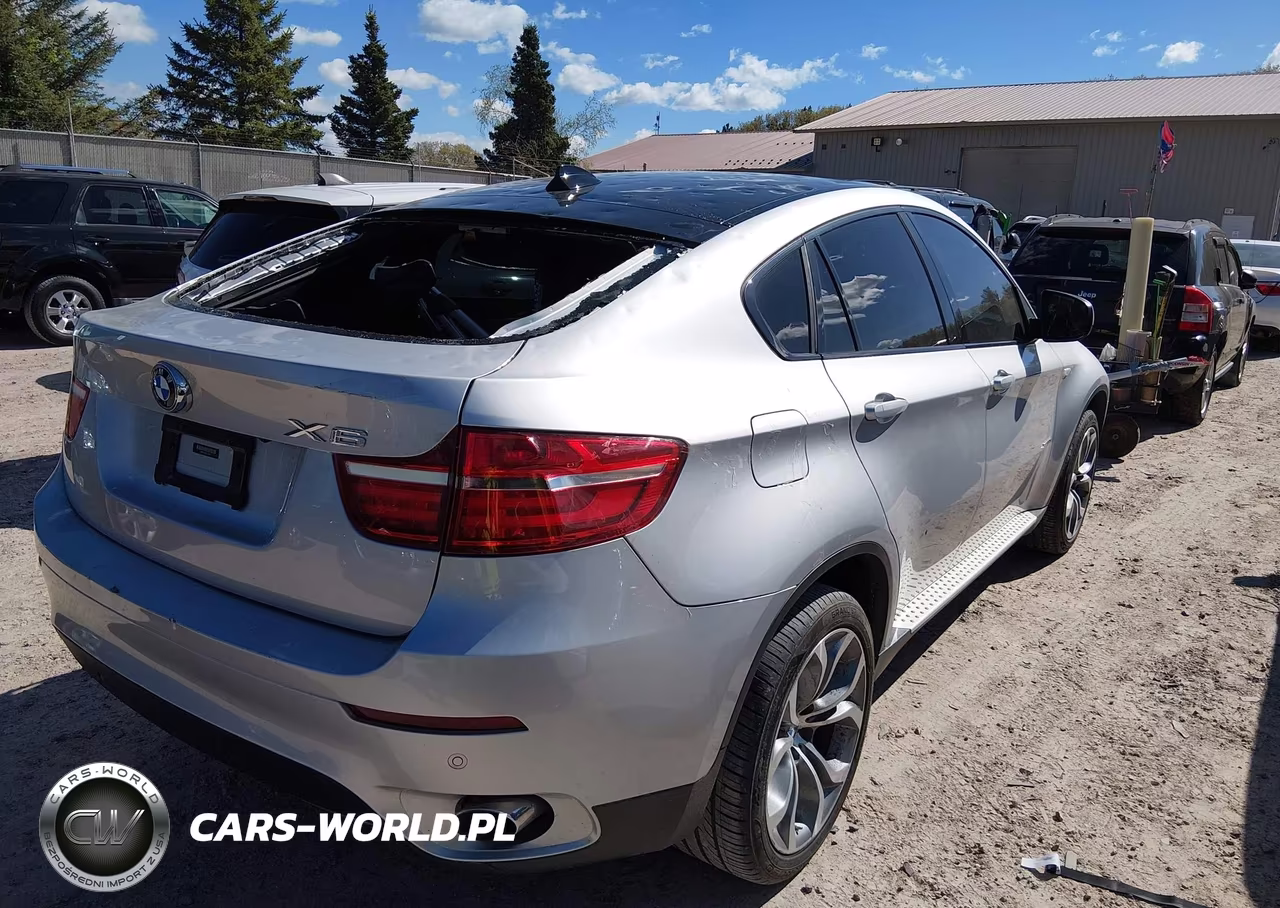 2013 BMW X6 xDrive35I VIN:5UXFG2C59DL783976 - 4