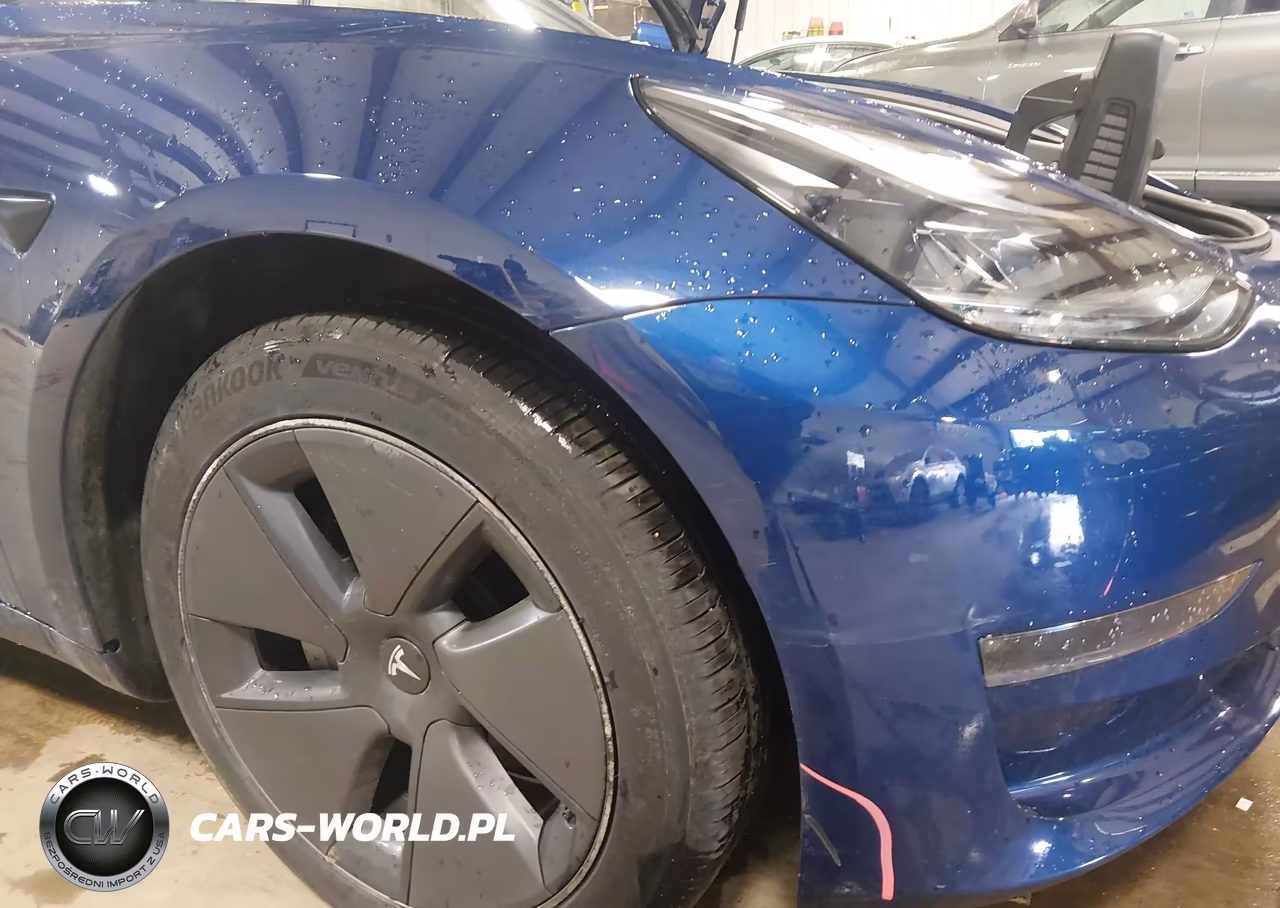 2023 Tesla Model 3 Rear-Wheel Drive VIN:5YJ3E1EA5PF638388 - 20
