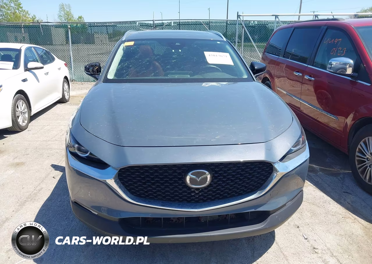 2023 Mazda Cx-30 2.5 S Carbon Edition VIN:3MVDMBCM9PM549976 - 12