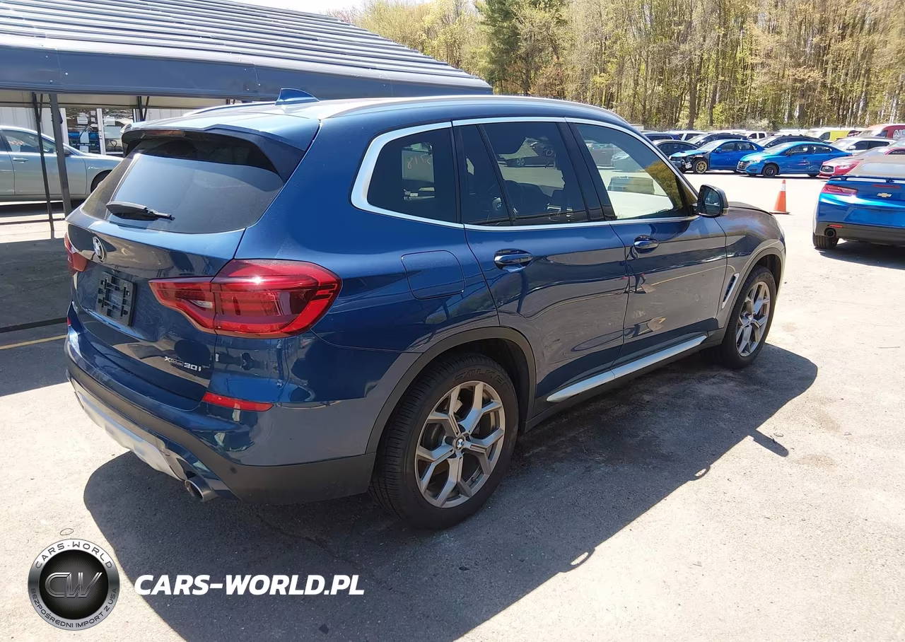 2020 BMW X3 xDrive30I VIN:5UXTY5C03LLT33440 - 4