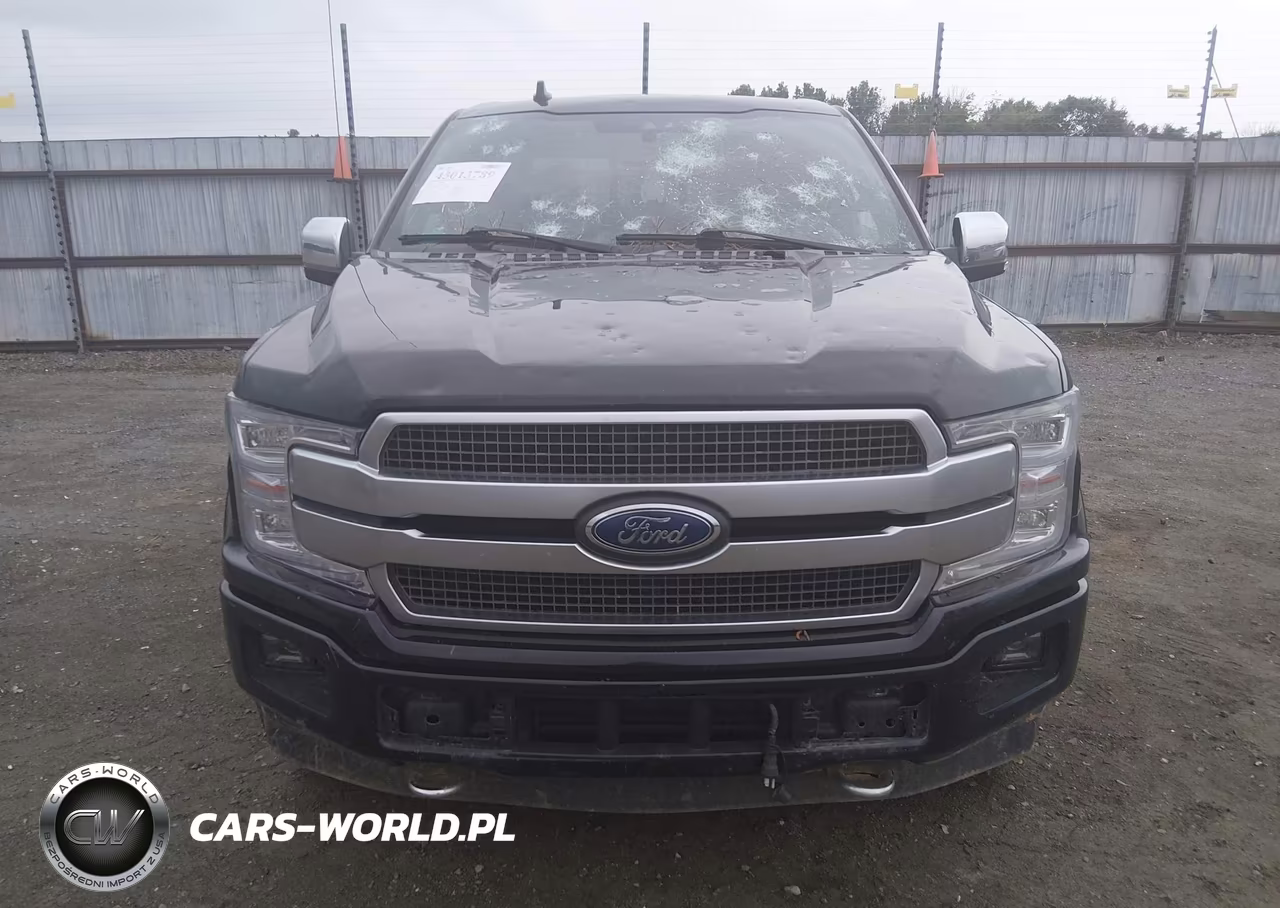 2018 Ford F-150 Platinum VIN:1FTEW1EG9JFC83061 - 12