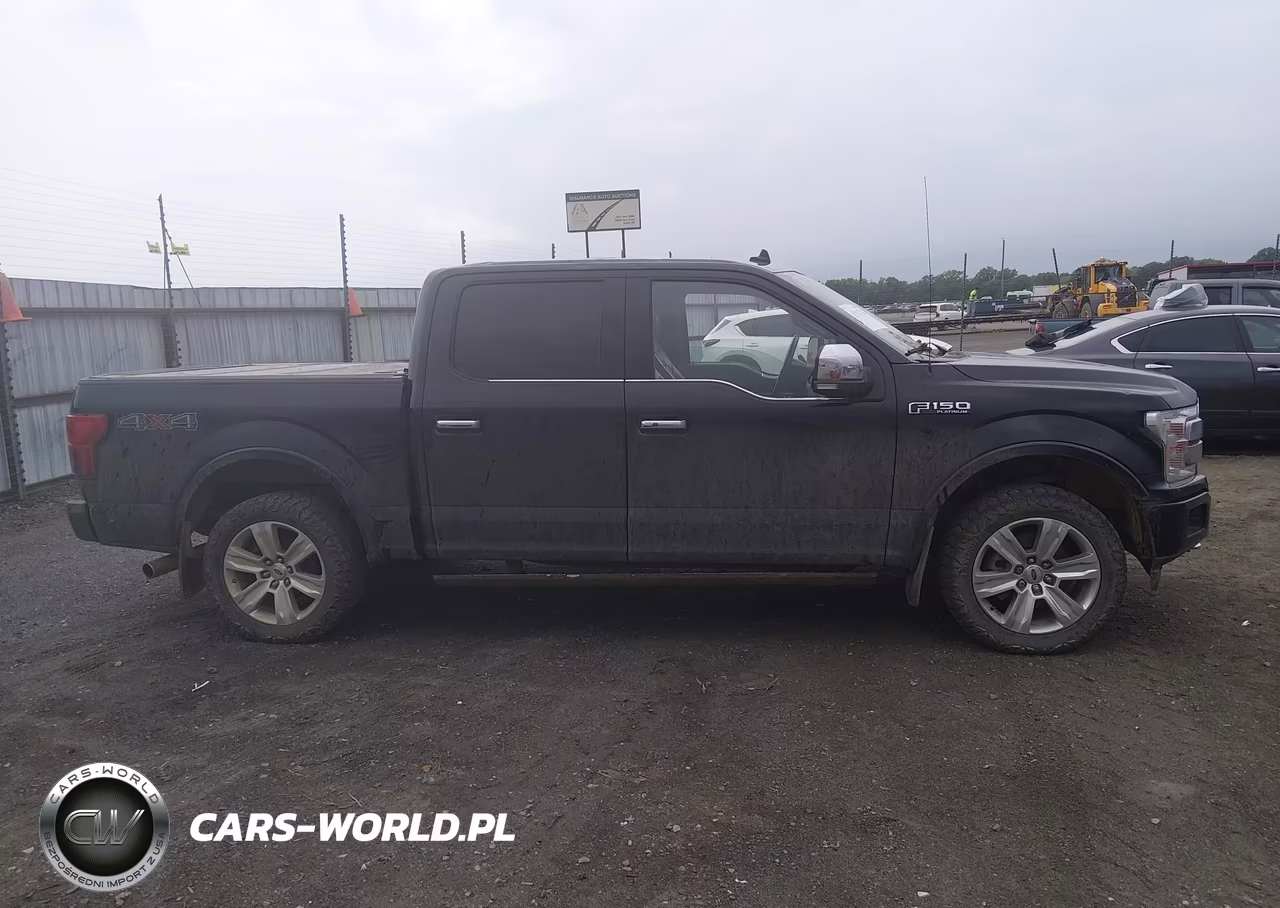 2018 Ford F-150 Platinum VIN:1FTEW1EG9JFC83061 - 13