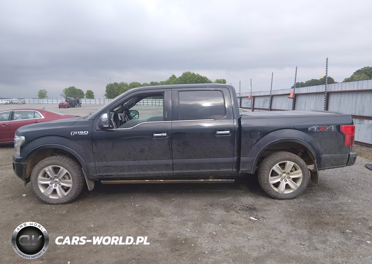 2018 Ford F-150 Platinum VIN:1FTEW1EG9JFC83061 - 14