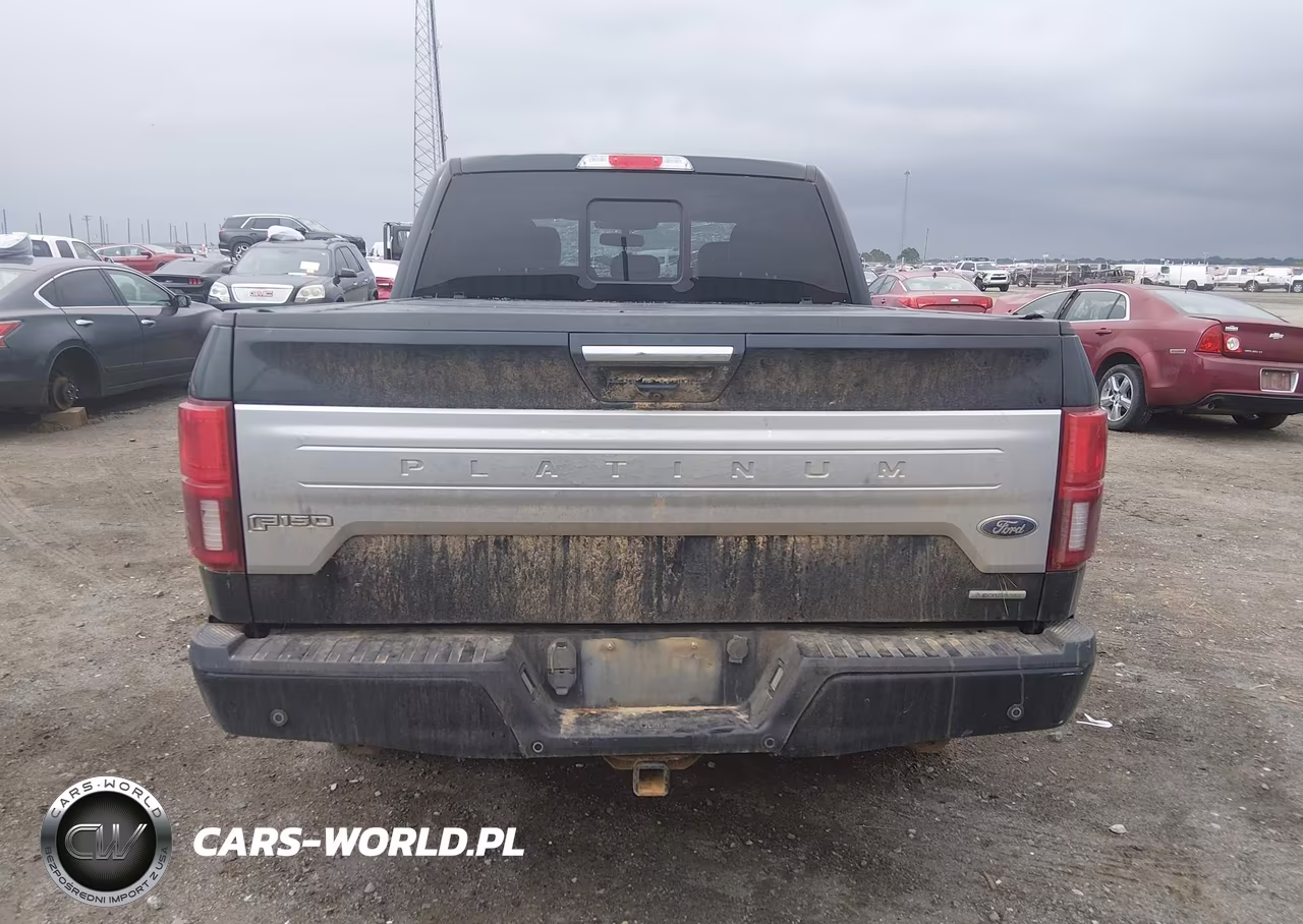 2018 Ford F-150 Platinum VIN:1FTEW1EG9JFC83061 - 16