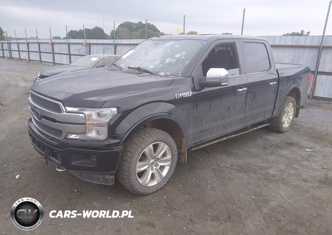 2018 Ford F-150 Platinum VIN:1FTEW1EG9JFC83061 - 2