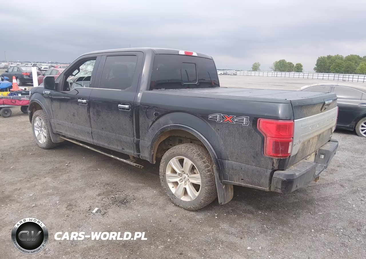 2018 Ford F-150 Platinum VIN:1FTEW1EG9JFC83061 - 3