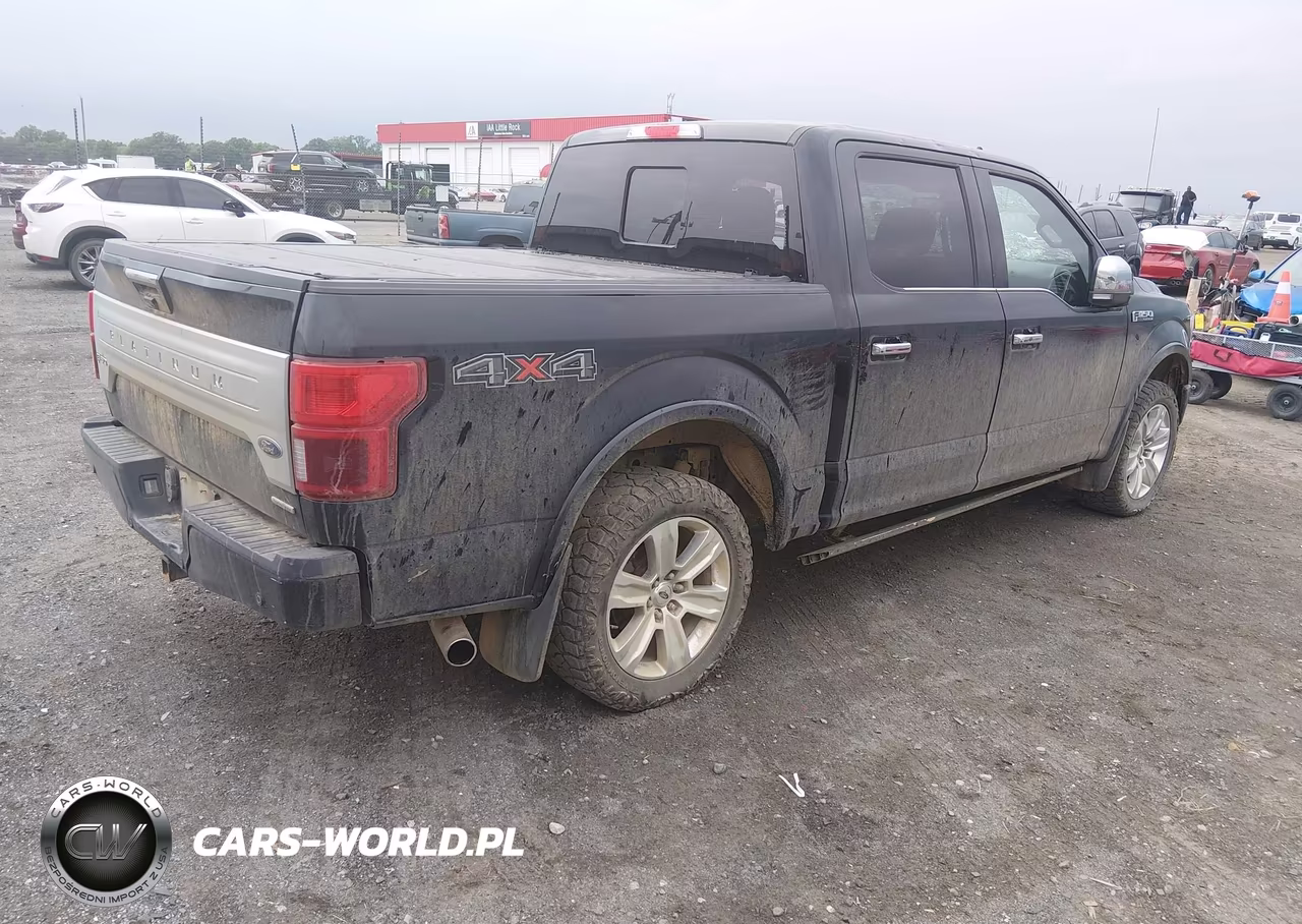 2018 Ford F-150 Platinum VIN:1FTEW1EG9JFC83061 - 4