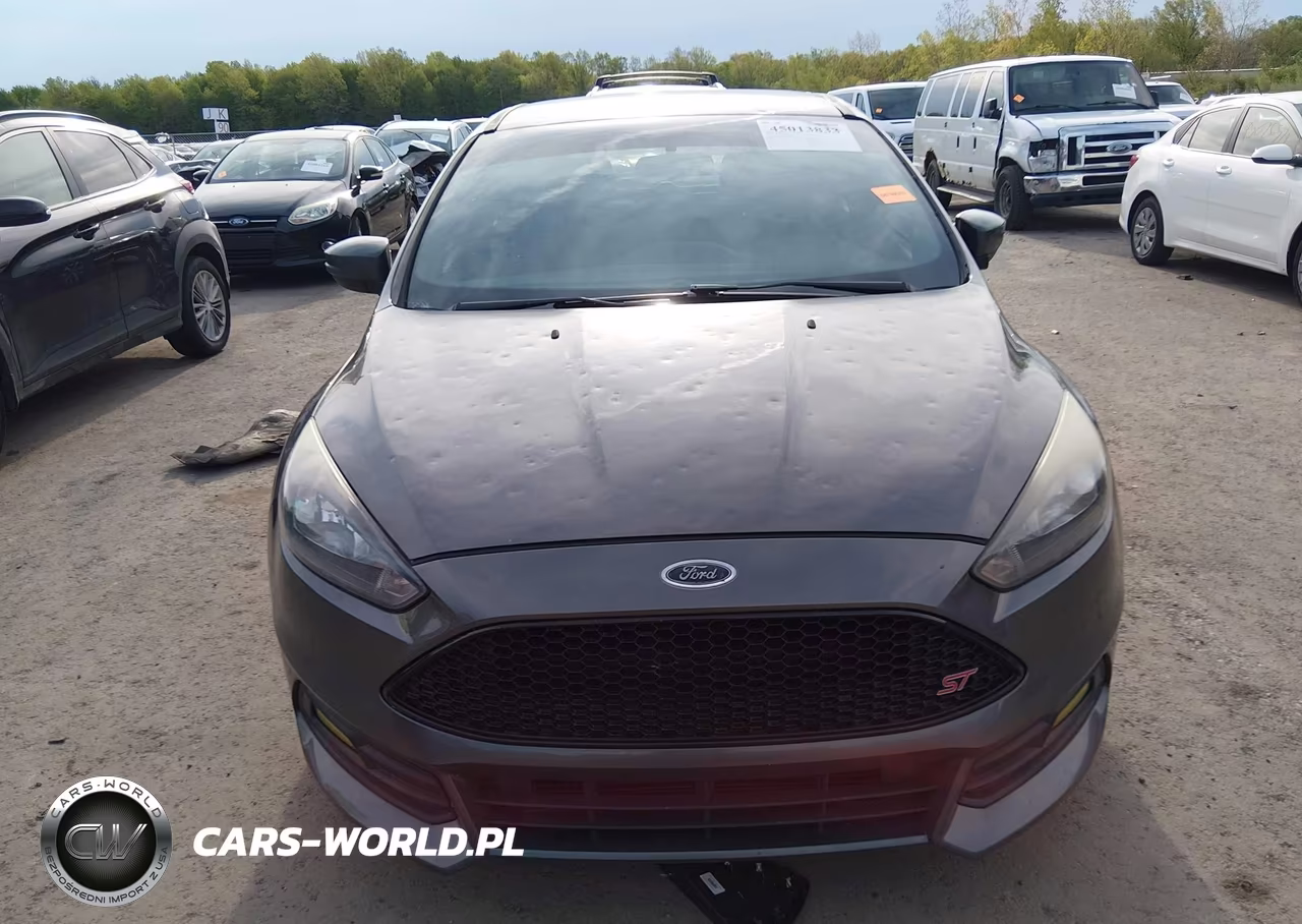 2016 Ford Focus St VIN:1FADP3L90GL385468 - 12