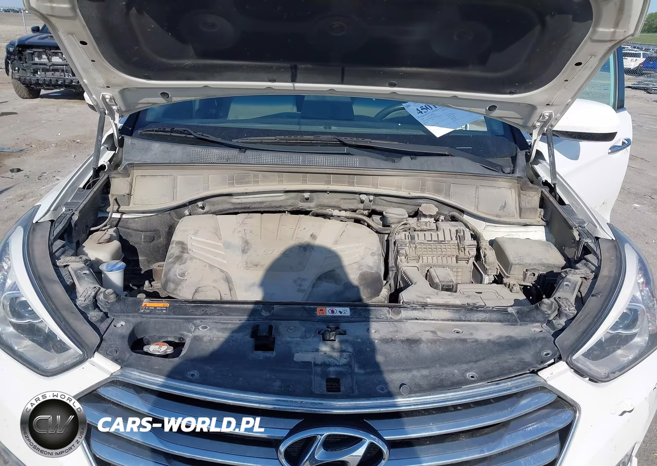 2016 Hyundai Santa Fe Se VIN:KM8SM4HF4GU155713 - 10