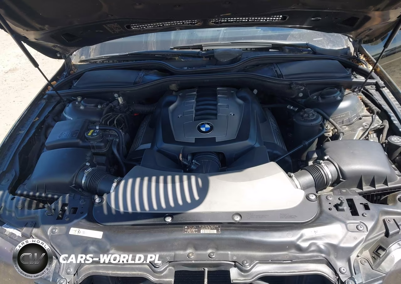 2006 BMW 750Li VIN:WBAHN83576DT32977 - 10