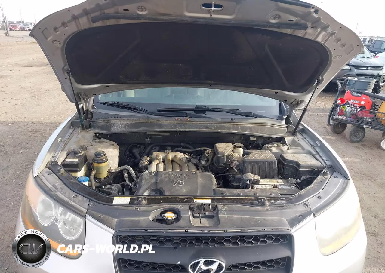 2009 Hyundai Santa Fe Gls VIN:5NMSG13D59H330514 - 10