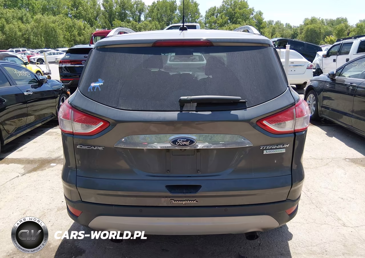 2015 Ford Escape Titanium VIN:1FMCU0J96FUA61719 - 17