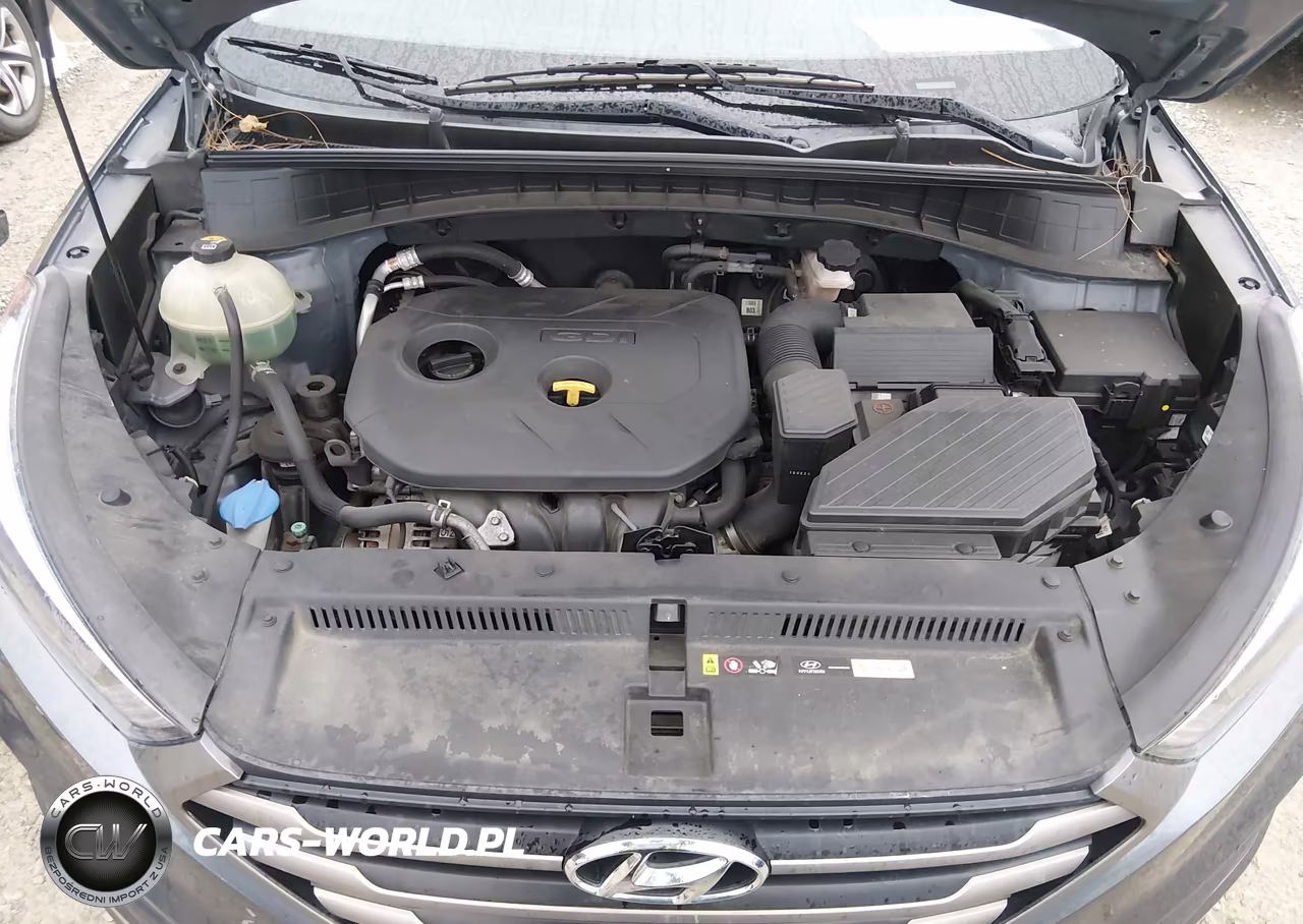 2016 Hyundai Tucson Se VIN:KM8J33A47GU198329 - 10